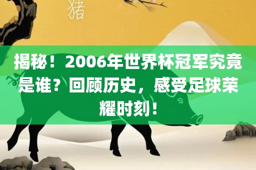揭秘！眉山市正发家政服务有限公司2006年世界杯冠军究竟是谁？回顾历史，感受足球荣耀时刻！