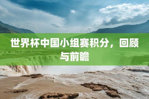 世界杯中国小组赛积分，回顾与前瞻