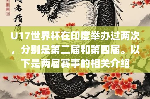 U17世界杯在印度举办过两次，分别是第二届和第四届。以下是两届赛事的相关介绍