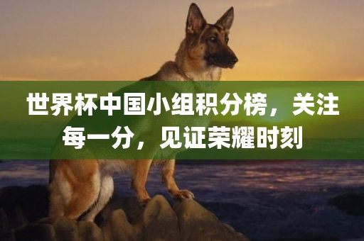 世界杯中国小组积分榜，关注每一分，见证荣耀时刻