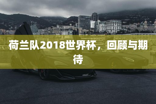 荷兰队2018世界杯，回顾与期待