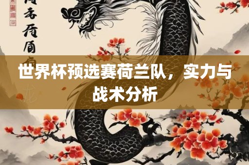 世界杯预选赛荷兰队，实力与战术分析