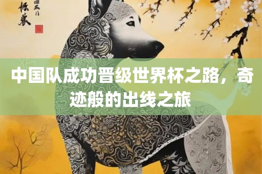 中国队成功晋级世界杯之路，奇迹般的出线之旅