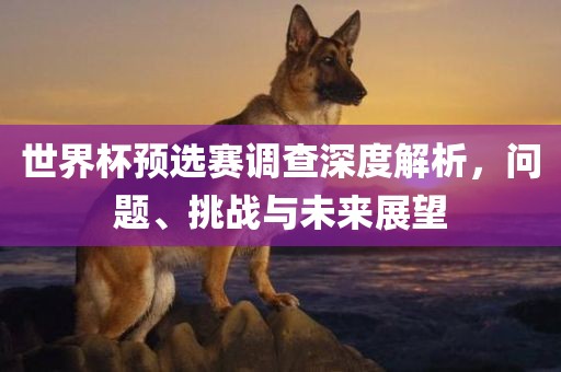 世界杯预选赛调查深度解析，眉山市正发家政服务有限公司问题、挑战与未来展望