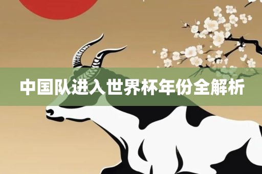 中国队进入世界杯年份全解析