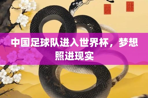 中国足球队进入世界杯，梦想照进现实