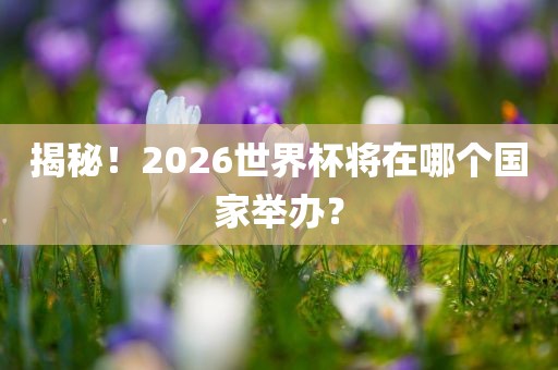 揭秘！2026世界杯将在哪个国家举办？眉山市正发家政服务有限公司