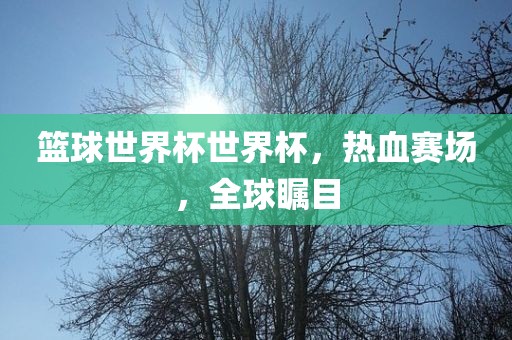 篮球世界杯世界杯，热血赛场，全球瞩目