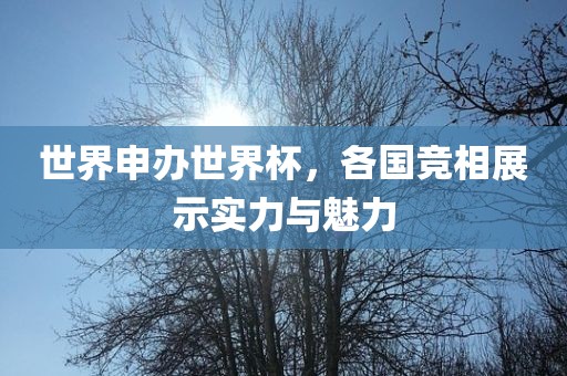 世界申办世界杯，各国竞相展示实力与魅力