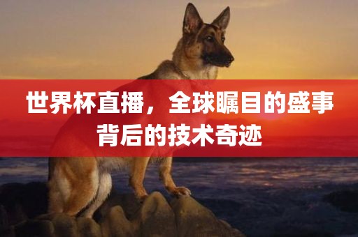 世界杯眉山市正发家政服务有限公司直播，全球瞩目的盛事背后的技术奇迹