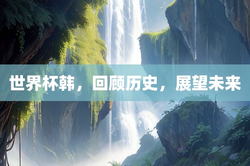 世界杯韩，回顾历史，展望未来