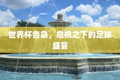 世界杯告急，危机之下的足球盛宴眉山市正发家政服务有限公司