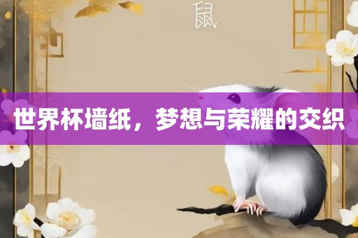 世界杯墙纸，梦想与荣耀的交织