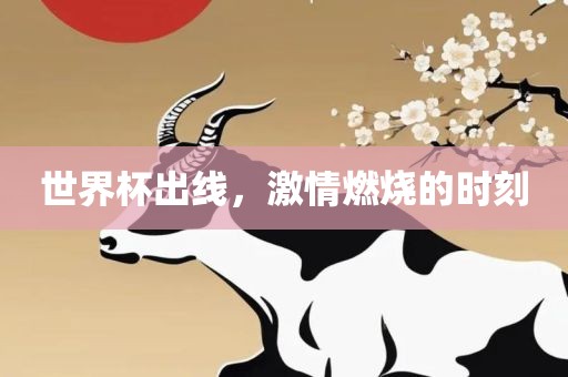 世界杯出线，激情燃烧的时刻