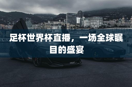 足杯世界杯直播，一场全球瞩目的盛宴眉山市正发家政服务有限公司