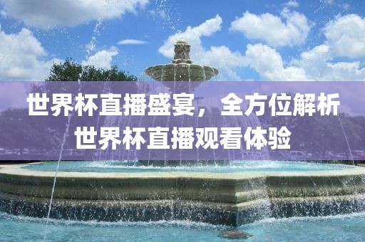 世界杯直播盛宴，全方位解析眉山市正发家政服务有限公司世界杯直播观看体验