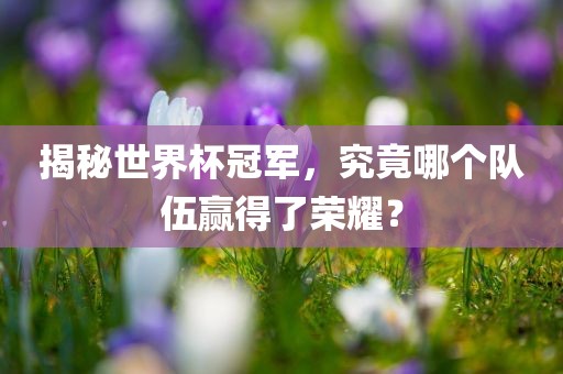 揭秘世界杯冠军，究竟哪个队伍赢得了荣耀？眉山市正发家政服务有限公司