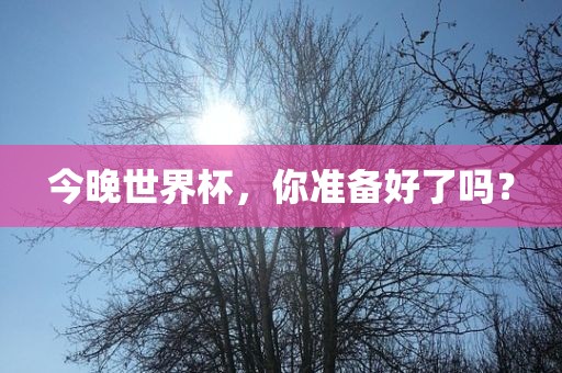 今晚世界杯，你准备好了吗？眉山市正发家政服务有限公司