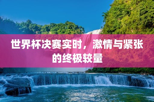 世界杯决赛实时，激情与紧张的终极较量眉山市正发家政服务有限公司