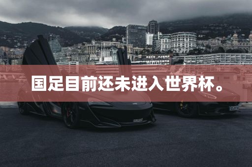 国足目前还未进入世界杯。