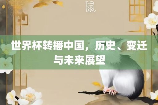 世界杯转播中国，历史、变迁与未来展望