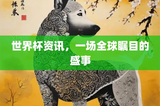 世界杯资讯，一场全球瞩目的盛事