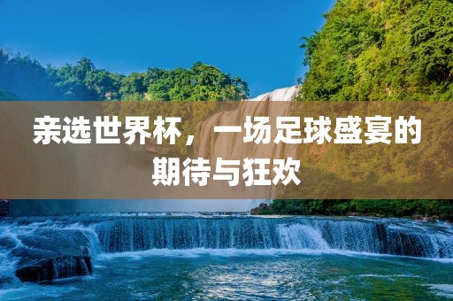 亲选世界杯，一场足球盛宴的期待与狂欢眉山市正发家政服务有限公司