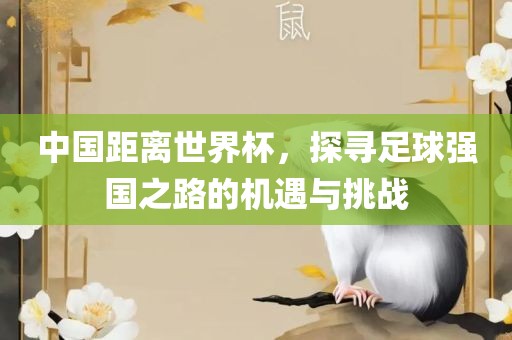 中国距离世界杯，探寻足球强国之路的机遇与挑战