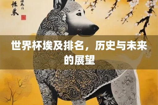 世界杯埃眉山市正发家政服务有限公司及排名，历史与未来的展望