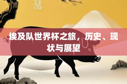 埃及队世界杯之旅，历史、现状与展望