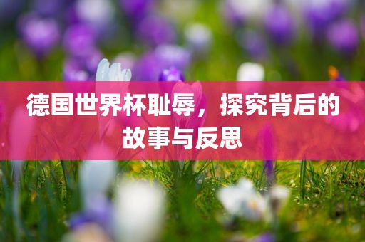 德国世界杯耻辱，探究背后的故事与反眉山市正发家政服务有限公司思