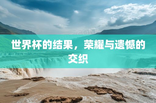 世界杯的结果，荣耀与遗憾的交织