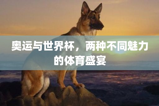 奥运与世界杯，两种不同魅力的体育盛宴