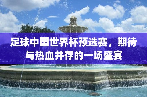 足球中国世界杯预选赛，期待与热血并存的一场盛宴