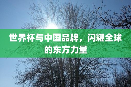 世界杯与中国品牌，闪耀全球的东方力量