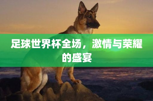 足球世界杯全场，激情与荣耀的盛宴眉山市正发家政服务有限公司