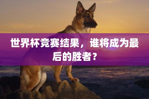 世界杯竞赛结果，谁将成为最后的胜者？