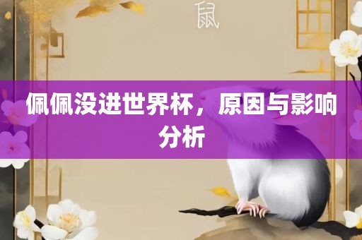 佩佩没进世界杯，原因与影响分析