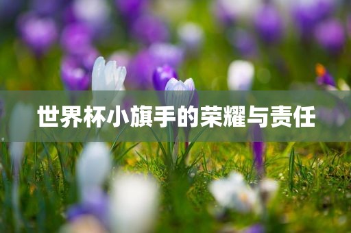 世界杯小旗手的荣耀与责任眉山市正发家政服务有限公司