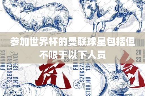 参加世界杯的曼联球星包括但不限于以下人员眉山市正发家政服务有限公司