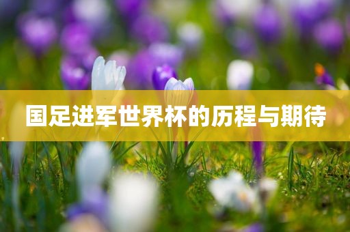 国足进军世界杯的历程与期待