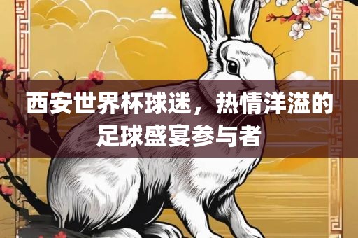 西安世界杯球迷，热情洋溢的足球盛宴参与者眉山市正发家政服务有限公司