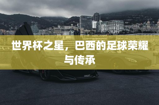 世界杯之星，巴西的足球荣耀与传承