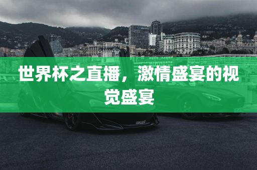 世界杯之直播，激情盛宴的视觉盛宴眉山市正发家政服务有限公司