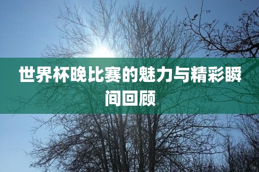 世界杯晚比赛的魅力与精彩瞬间回顾