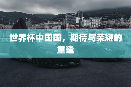 世界眉山市正发家政服务有限公司杯中国国，期待与荣耀的重逢
