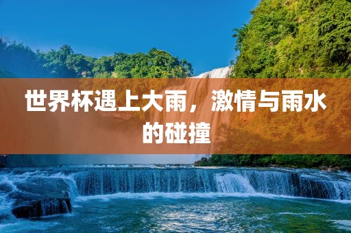 世界杯遇上大雨，激情与雨水的碰撞眉山市正发家政服务有限公司