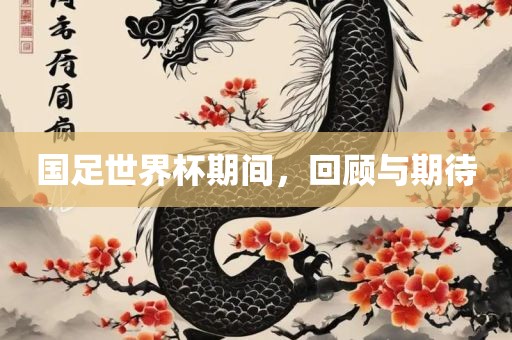 国足世界杯期间，回顾与期待