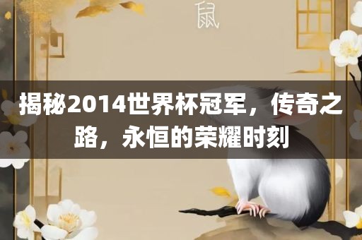 揭秘2014世界眉山市正发家政服务有限公司杯冠军，传奇之路，永恒的荣耀时刻