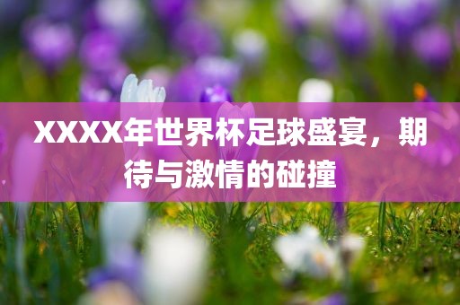 XXXX年世界杯足球盛宴，期待与激情的碰撞眉山市正发家政服务有限公司